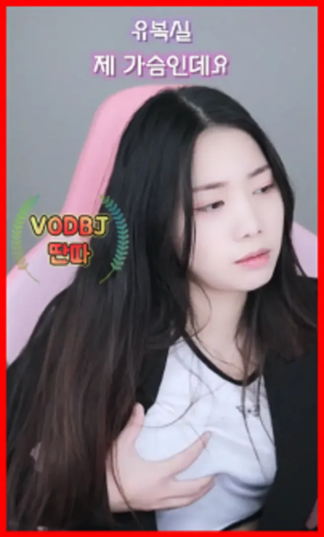 꿈에 복실이 나옴 ㄷㄷㄷ