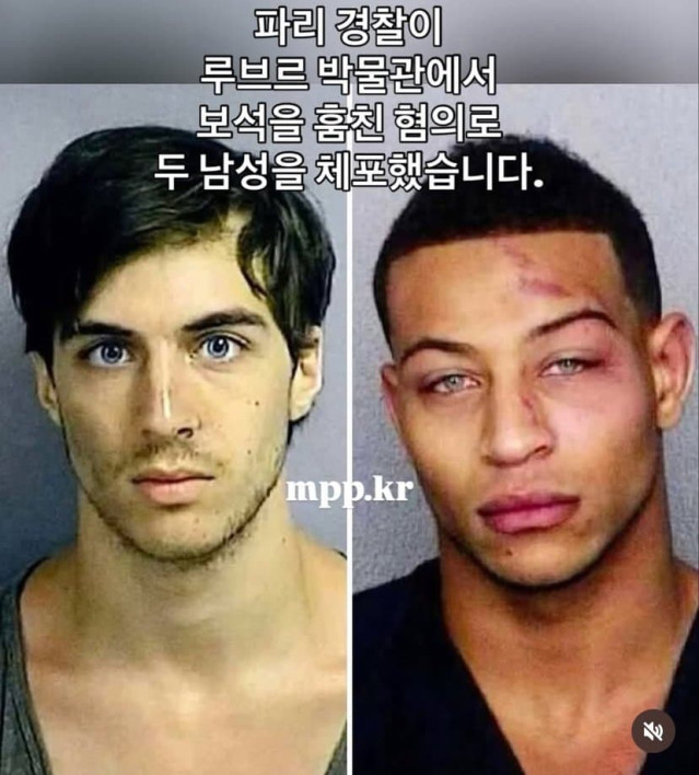 잘생겨서 화제인 루브르 강도의 진실