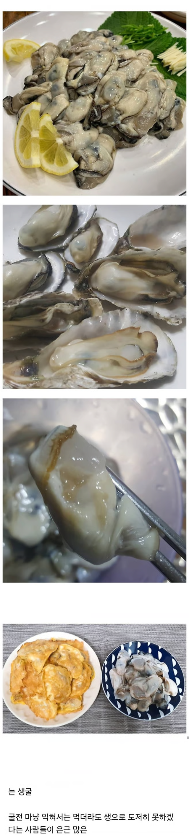 image.png 은근히 생으로 못먹겠다는 사람들 많은 음식