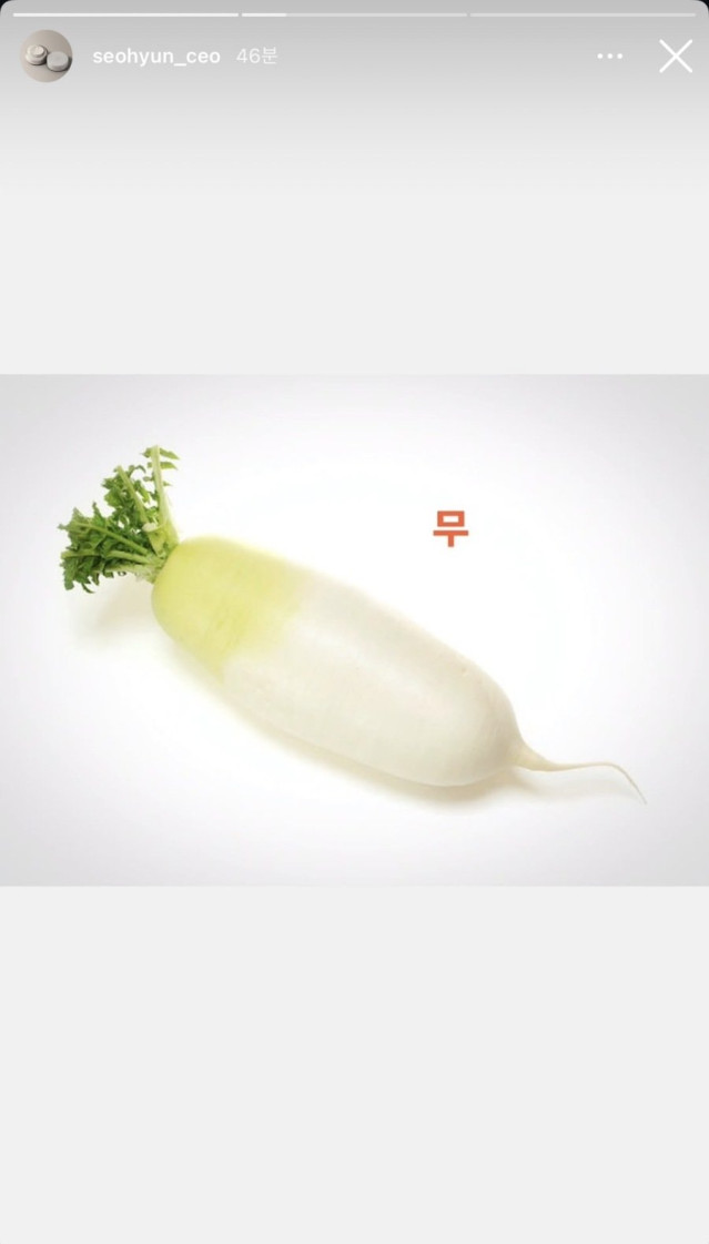 주사이모 인스스 나혼산 저격.jpg